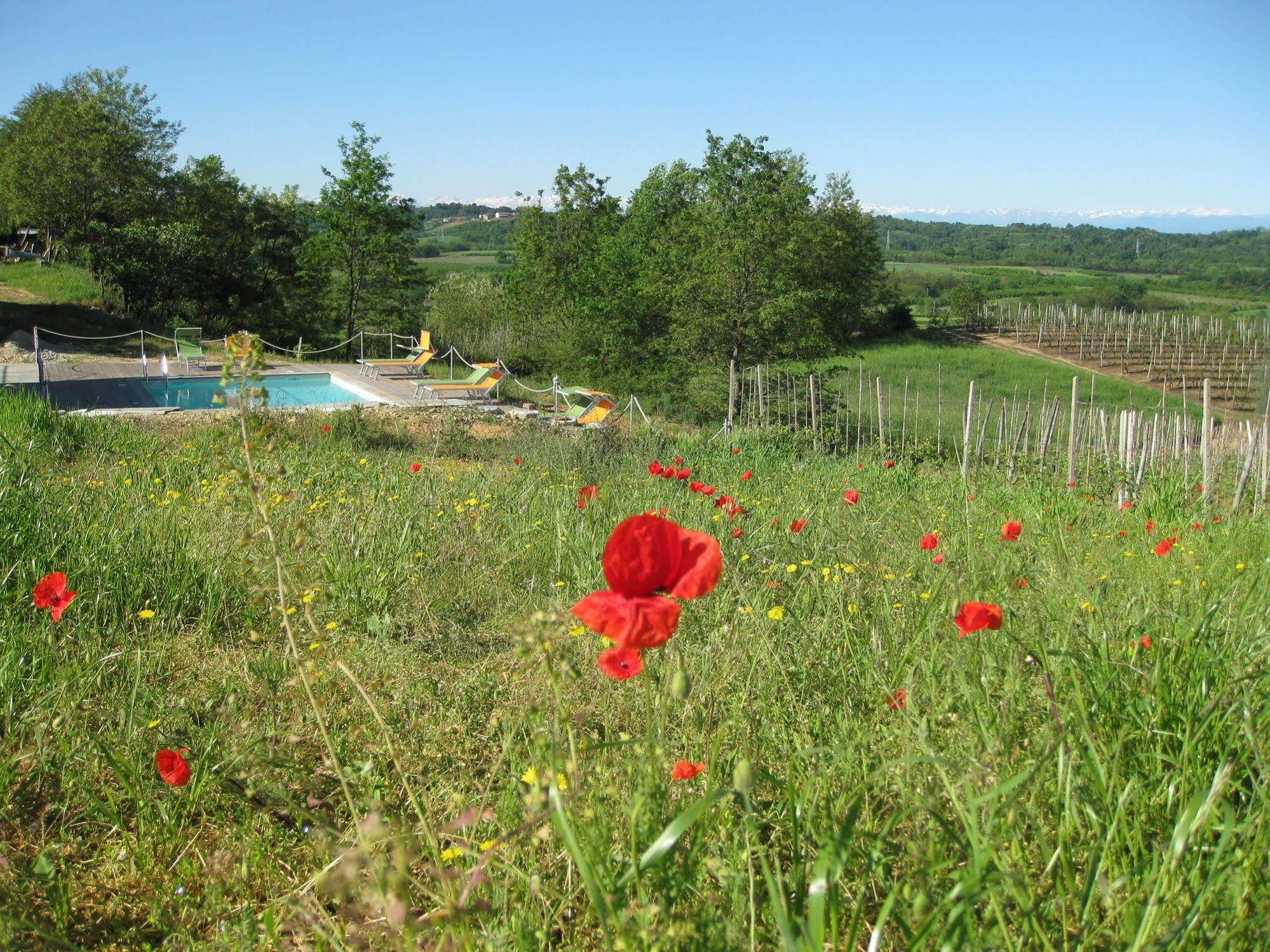 Agriturismo Cascina Ponchietta Guest House Monta Exterior photo